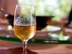 -东海酒家(长平东路店)