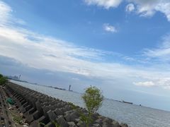 -上海滨江森林公园