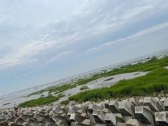 -奉贤海滩