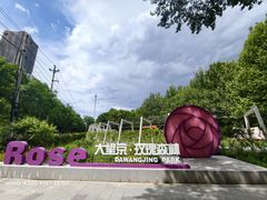 -大望京公园