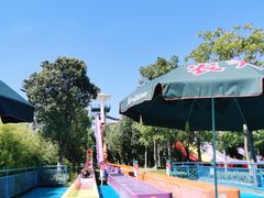 -苏州乐园森林水世界