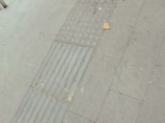 -袁大头包子(光华路店)