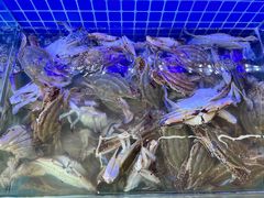 -春华海鲜城(广场西苑店)