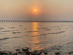 -宝安西湾红树林湿地公园