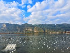 -海埂大坝