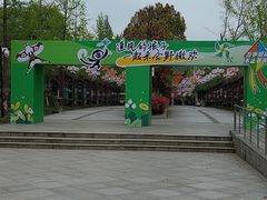 -合肥野生动物园