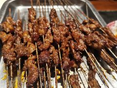 -福苗小骆驼烧烤(莲湖路店)