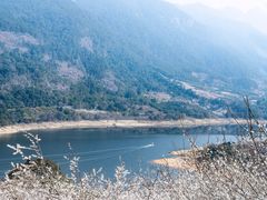 -广州市流溪河国家森林公园