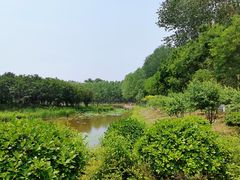 -东郊湿地公园