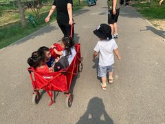 -东郊湿地公园