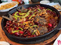 -老板恋上鱼(恒隆广场店)