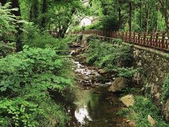 -素山寺森林公园