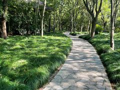 -昆山城市生态森林公园