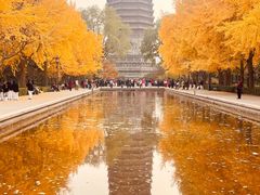 -玲珑塔公园