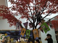-艾薯夫妇Aysh(福田星河COCOPark店)