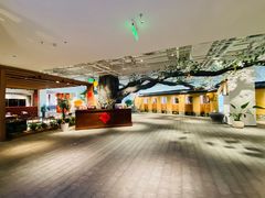 -大视光学•LINDBERG林德伯格•全球手工眼镜集合店(王府井店)