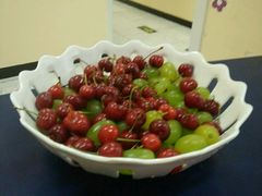 -山木培训(良乡校区)