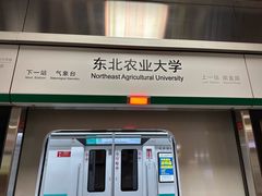 -东北农业大学饺子园