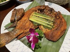 -紫滇源云南生态菜(丹凤街店)