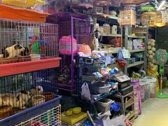 -大自然花鸟鱼虫市场