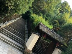 -云碧峰国家森林公园