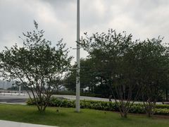 -海心沙亚运公园