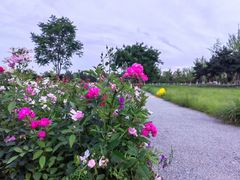 -汉长安城未央宫国家考古遗址公园