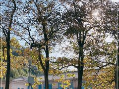 -延安杨家岭革命旧址