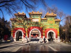 -北京国子监胡同