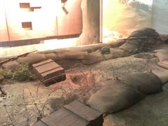 -上海市龙华烈士陵园