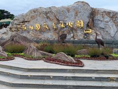 -北京西山国家森林公园