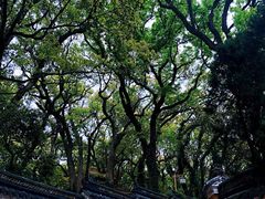 -普陀山雷迪森庄园