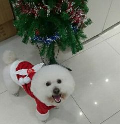 -阪川造型salon