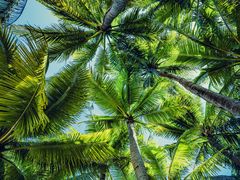 -海南分界洲岛旅游区