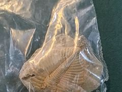 -房山世界地质公园博物馆