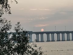 -宝安西湾红树林湿地公园