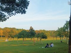 -宜兴龙背山森林公园