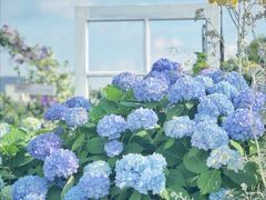 -杭州六谷生态休闲农庄有限公司