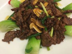 -羊上树(南门外店)
