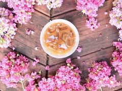 -星巴克(远洋店)