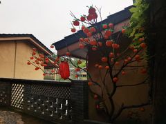 -观澜山水田园
