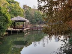 -上海滨江森林公园