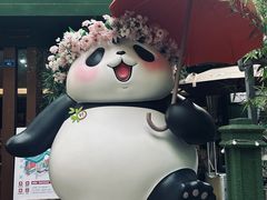 -轩客会(熊猫书店)