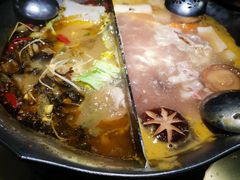 红颜花胶鸡锅-湊湊火锅·茶憩(东城万达店)