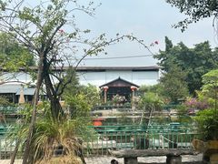 -龙回山庄