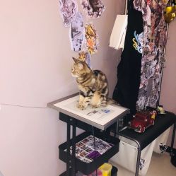 -SNOW TATTOO STUDIO