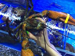 -鹊华居·地道鲁菜·海鲜·融合味(大明湖店)