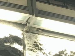 -海河游船(古文化街码头)