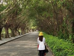 -大湾区中央湿地公园