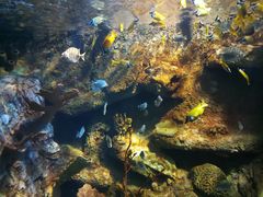 -太平洋海底世界